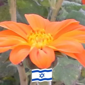 Meet your Posher, Vlad